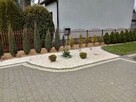 Ogrodnik pełen zakres usług oraz brukarstwo. - 5