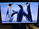 Komputer i5 DDR3 HDE + monitor LED 23 1000GB HD Win10 - 1