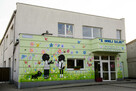 Dekoracje na ścianę do przedszkoli, szkoły - graffiti, malow - 13