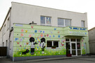 Malunki na ścianę, artystyczne malowanie ścian, murale - 12