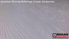 Stylowa Biała Komoda Blat Dąb Rustikal Śliczna Nowa od Bekas - 2