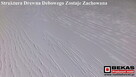 Stylowa Komoda 180` Wysoka (2S-4D) Biały Dąb od Bekas Meble - 2