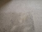 Karcher Mosina tel 661-373-424 pranie wykładzin tapicerki - 3