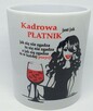 Obsługa kadr i płac - 2