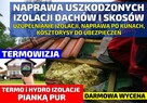 Zwalczanie kuny domowej , wdmuchiwanie celulozy , Naprawy - 1