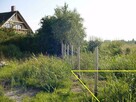 Działka Korzystno gm. Kołobrzeg - 700 m - 5