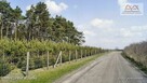 Działka Ołużna gm. Gościno - 15