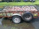WYPOŻYCZALNJA PRZYCZEP-LAWET BUSÓW I AUTO-LAWET - 13