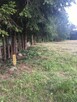 Rucianka-sprzedam działkę usługową- 3839 m - 6