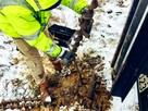 Poszukiwany geolog - praca w terenie