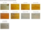 Ciranova DECKING OIL olej tarasowy pine - 4