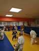 Judo - zajęcia dla dzieci. - 5