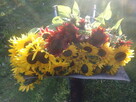 Słonecznik ozdobny (helianthus annuus) mix 1kg - 8
