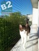 Siatka dla kota, siatka balkonowa, siatka na balkon - 6