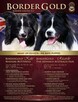 Border Collie-Unikalne szczenięta. Elitarna linia show. - 2