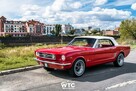 Auto Auta do Ślubu na Wesele CADILLAC MUSTANG - 10