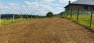 Usługi glebogryzarką separacyjną, glebogryzarka separacyjna - 3