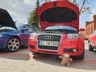 Audi a3 8p Sportback - 5