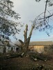 Wycinka przycinka podcinka drzew trudnych metodą alpinistycz - 8