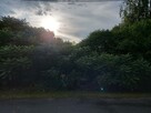 Działka budowlana w miejscowości Braciszów - 4
