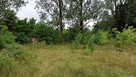 Działka usługowa na sprzedaż 2483m2 - Poddębice - 5