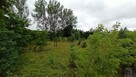 Działka usługowa na sprzedaż 2483m2 - Poddębice - 3