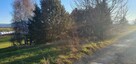 Cieszyn dzielnica Krasna - teren inwestycyjny na sprzedaż. - 6