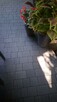 Suchy Piasek Bazaltowy Fuga Zasypka Do Kostki Grafit 0-5 mm - 11