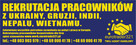 Pracownik z Azji szuka pracy - 13