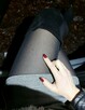 Poznam panią która akceptuje i pomoże trans - 5