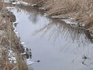 Sprzedam nieruchomość 0,63 ha z zabudowaniami - 6