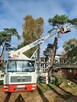 Wycinka i korekta drzew - 12