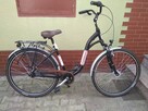Rower 28cal.alu 7nexus