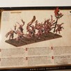 Warhammer Daemons of Tzeentch Pink Horrors - 2