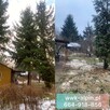 Usługi rębak do gałęzi, wycinka drzew alpinistyczne z podnoś - 1