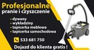 Profesionalne pranie tapicerki meblowej, dywanów