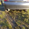 Sprzedam Rover 75 2.0v6 benzyna 150hp - 7