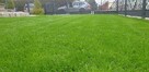 glebogryzarka separacyjna zakładanie trawników niwelacje - 3