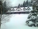 Bieszczady. Oddam w dzierżawę , wynajem atrakcyjny pensjonat - 2