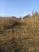 Koszenie trawy, nieużytków, arka bijakowa, karczowanie.Busko - 5