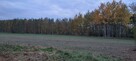 Gospodarstwo rolne - 10