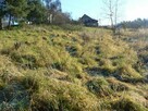 3 działki: budowlana, leśna i łąka, 64 ary, Nowa Góra Paryż - 4