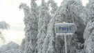 3 działki: budowlana, leśna i łąka, 64 ary, Nowa Góra Paryż - 1