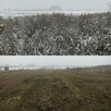 Koszenie trawy, nieużytków, arka bijakowa, karczowanie.Busko - 3