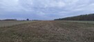 Gospodarstwo rolne - 8