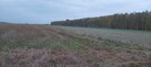 Gospodarstwo rolne - 11