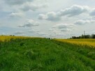 3 działki: budowlana, leśna i łąka, 64 ary, Nowa Góra Paryż - 5