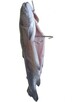 Hak Haki Do Wędzenia DUŻYCH RYB Udźwig 9 kg 3 sztuki - 8