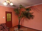 Malowniczy dom na wsi z dużą działką wśród zieleni - 7