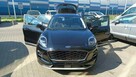 Ford Puma Titanium - 13